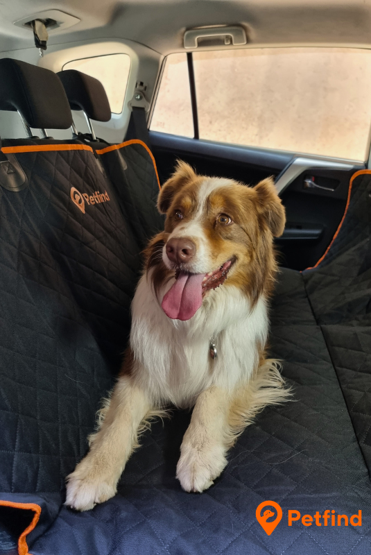 Lona Cubre Asientos Impermeable para autos