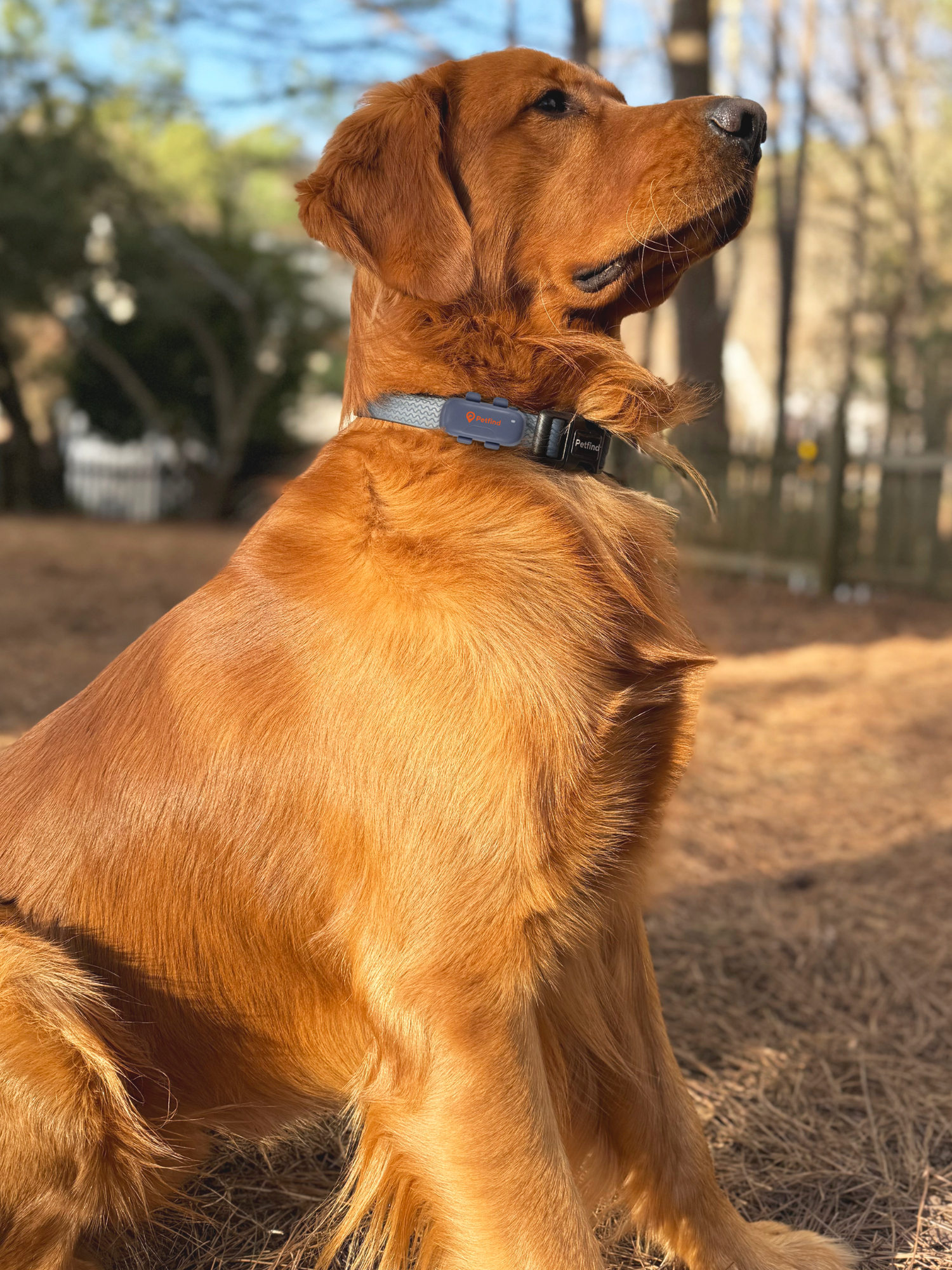 Rastreador GPS Petfind 2.0