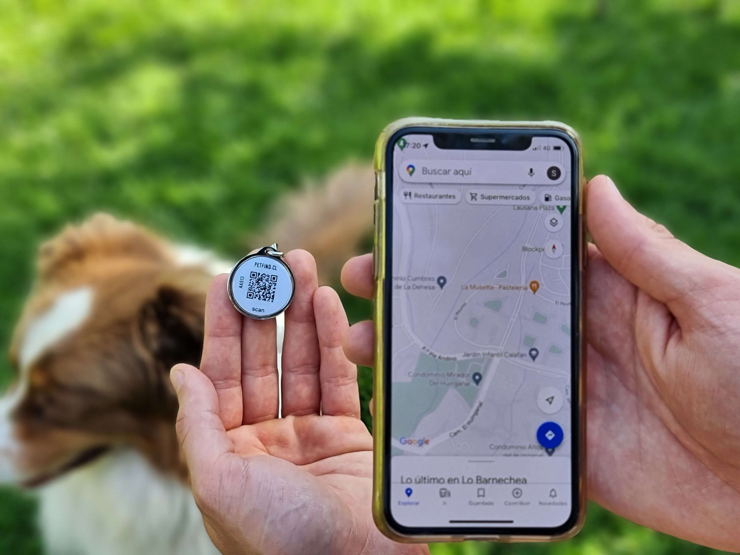 Recibe la ubicación GPS de tu mascota.