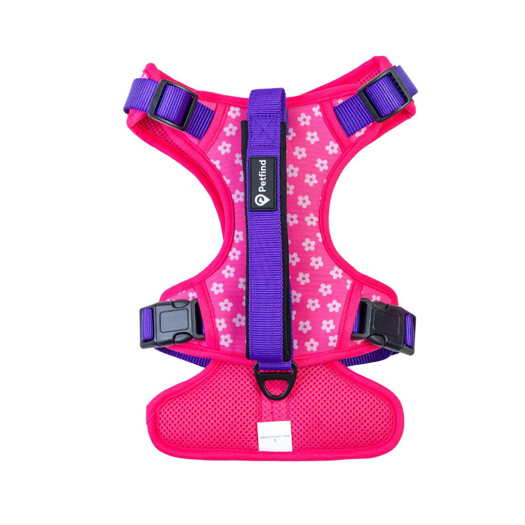 LDDP – Arnés Personalizado Para Perros Pequeños, 5 Unidades, Collar