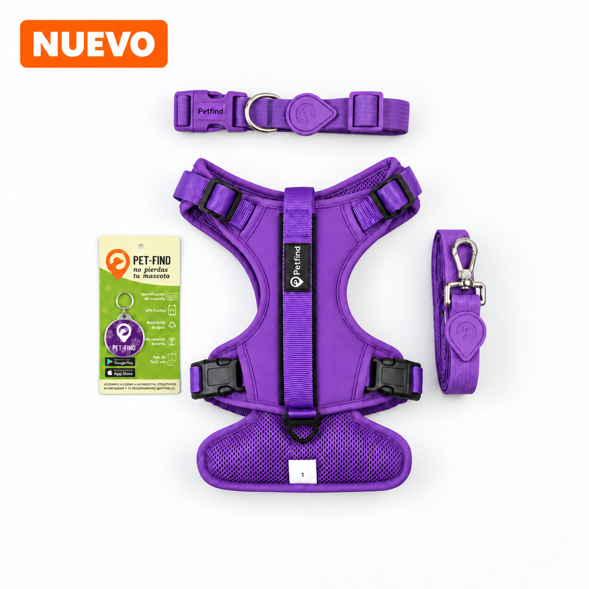 Explorer Pack Morado