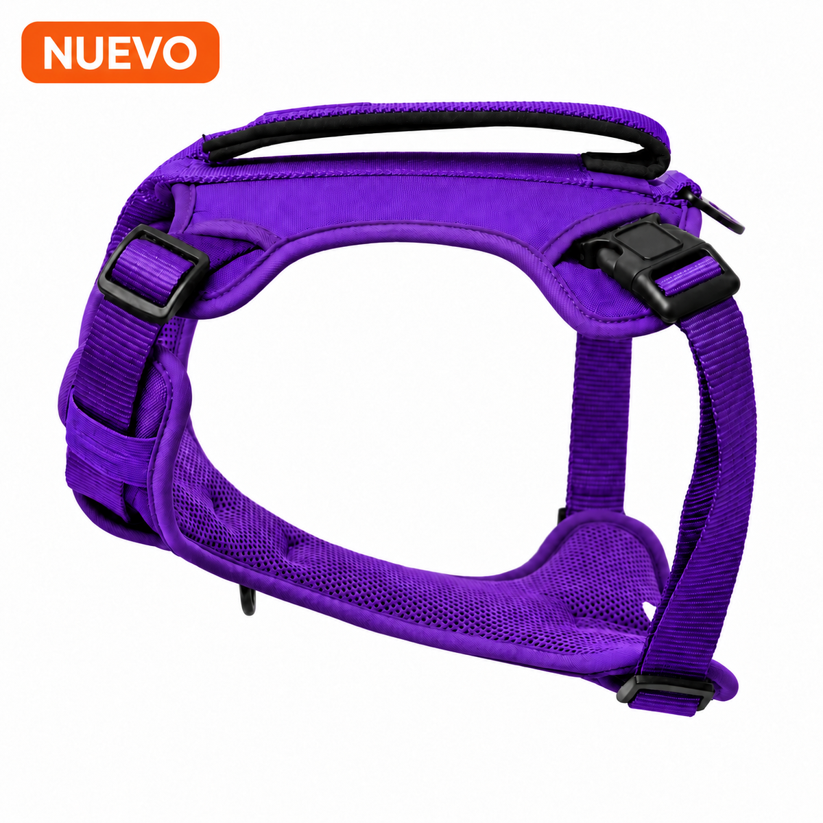 Arnés Morado