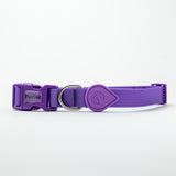 Collar Neopro Morado